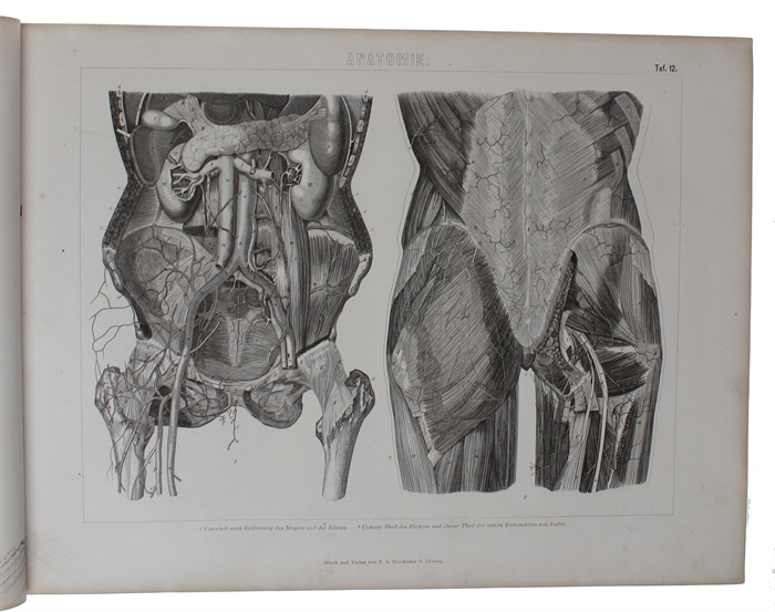 Ikonographische Encyklopädie der Wissenschaften und Künste. Ein Ergänzungswerk zu jedem Conversations=Lexikon. Zweite vollst. umgearb. Aufl. 1.-7. Band (von 8).