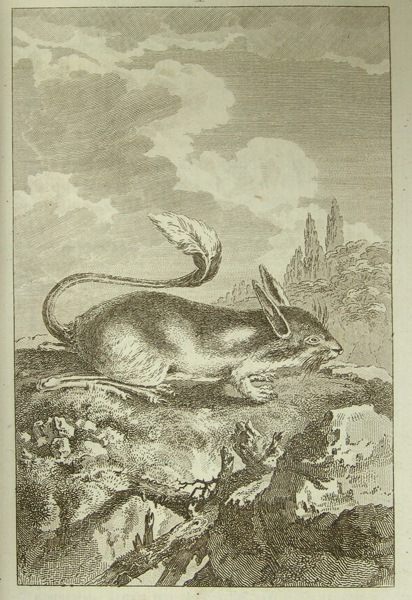 Voyages chez les Peuples Kalmouks et les Tartares.