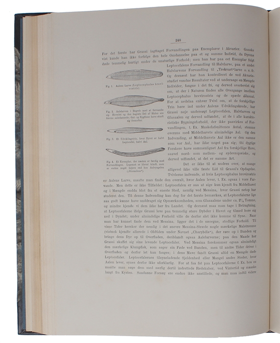 Zoologia Danica. Afbildninger af Danske Dyr med populær Text. 2det Bind: Fiske. Med 33 Kobbertavler.