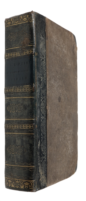 A Description of more than Three Hundred Animals. Interspersed with Entertaining Anecdotes, and Interesting Quotations from Ancient and Modern Authors. To which is added an Appendix on allegorical and fabulous Animals. The whole illustrated by Accurat...