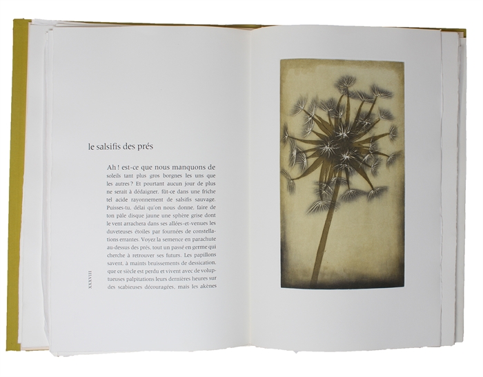 Herbier. Poèmes de Jean Grosjean. Aquatintes de J.J.J. Rigal. 