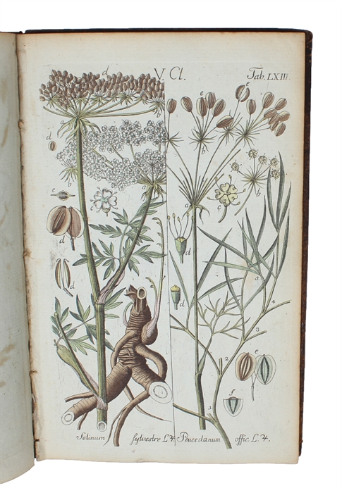 (Botanisches Handbuch der mehresten theils in Deutschland wildwachsenden, theils ausländischen in Deutschland unter freiem Himmel ausdauernden Gewächse.