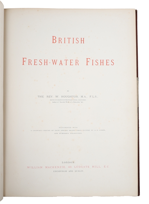 British Fresh-Water Fishes. Illustrated with a coloured Figure of each Species drawn from Nature by A.F. Lydon and numerous Engravings. (Division I-II, all).