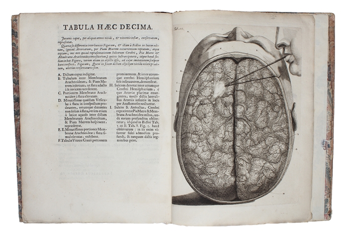 Epistola Problematica (Anatomica; Problematica). Prima - (Nona Pars). (1-9). 9 vols.
