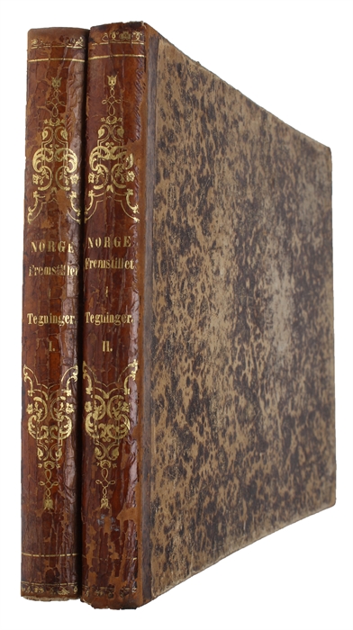 Norge fremstillet i Tegninger. Texten af P. Chr. Asbjörnsen. Udgivet af Chr. Tönsberg.