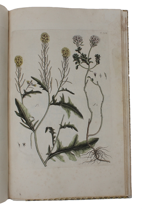 Flora Pedemontana, sive Enumeratio Methodica Stirpium Indigenarum Pedemontii. 3 Tomi. (Vol. 3: Icones accdit explanatio numenclaturae botanicae). + Auctarium ad Floram Pedemontanam, cum notis et emendationibus.