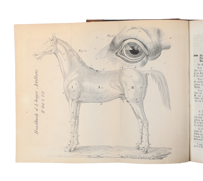 Handbuch der königlich bayerischen Artillerie. Zweite, ganz umgearbeitete und vermehrte Auflage. 2 Bde.