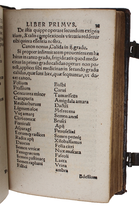 De secretis naturae sive Quinta essentia libri duo. His accesserunt Alberti Magni Summi philosophi, De mineralibus & rebus metallicis Libri quninque. Quae omnia solerti cura repurgata rerum naturae studiosis recens publicata sunt per M. Gualtherum H. ...