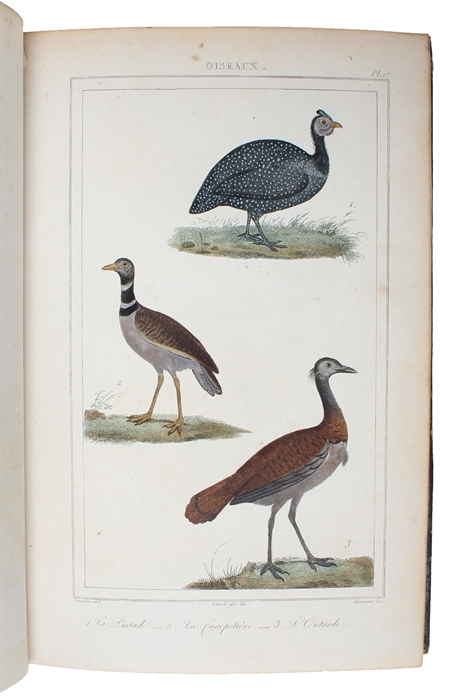 Oeuvres complétes de Buffon mises en Ordre et précédées d'une notice historiques par M.A. Richard suivies de deux Volumes sur les Progrès des Sciences physique et naturelles depuis la Mort de Buffon par M. le Baron Cuvier. 32 vols. (+) 2 vols of plate...