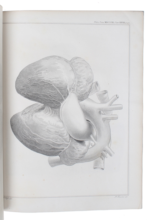 Particulars respecting the anatomy of the Dugong, intended as a Supplement to T.S. Raffles' Account of that Animal.