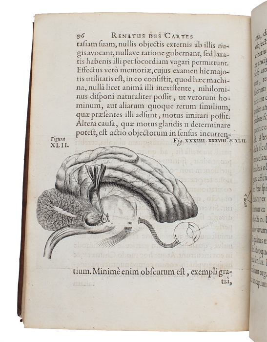 De Homine Figuris et latinate donatus a Florentio Schuyl, Inclytæ Urbis Sylvæ Ducis Senatore, & ibidem Philosophiæ Professore.