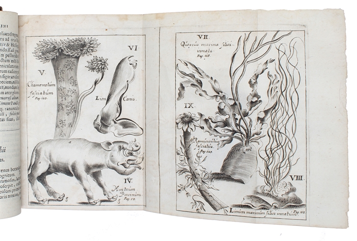Acta Medica & Philosophica Hafniensia. Ann. 1671&1672; 1673; 1674.1675.1676.; 1677.1678. 1679. Cum aeneis figuris/Figuris aeneis illustrata. 5 vols (all).