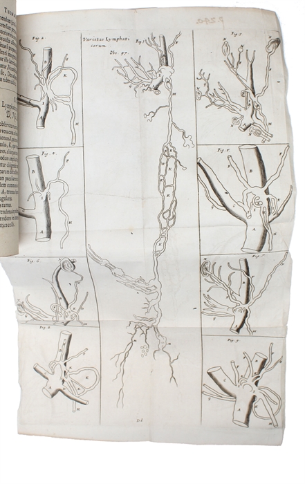 Acta Medica & Philosophica Hafniensia. Ann. 1671&1672; 1673; 1674.1675.1676.; 1677.1678. 1679. Cum aeneis figuris/Figuris aeneis illustrata. 5 vols (all).