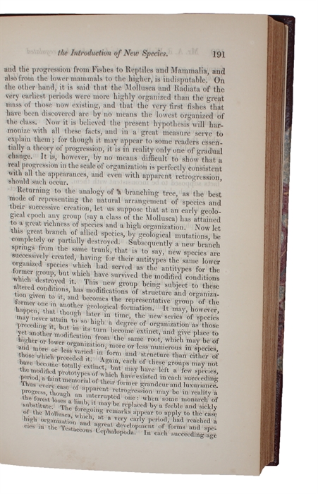 On the Law which has Regulated the Introduction of New Species. [In: The Annals and Magazine of Natural History. Second Series, Volume 16].