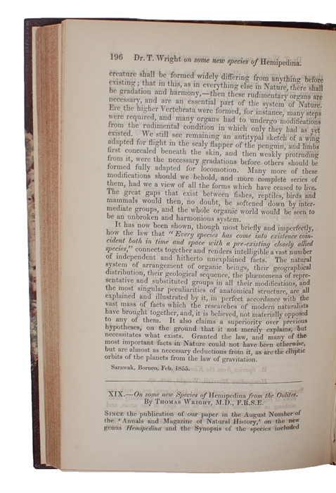 On the Law which has Regulated the Introduction of New Species. [In: The Annals and Magazine of Natural History. Second Series, Volume 16].
