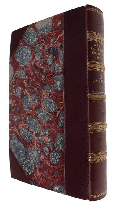 On the Law which has Regulated the Introduction of New Species. [In: The Annals and Magazine of Natural History. Second Series, Volume 16].