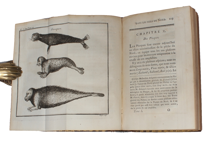 Histoire des Pêches, des Découvertes et des Établissemens des Hollandois dans les Mers du Nord. Ouvrage traduit du Hollandais par les soins du Gouvernement, enrichi de Notes, & orné de Cartes & de Figures à l'usage des Navigateurs & des Amateurs de ...