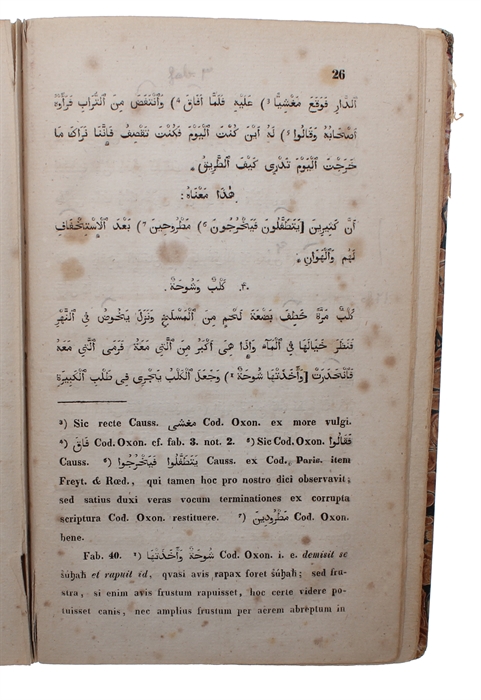 Locmani Sapientis Fabulæ 40. Recensuit et in usum prælectionum edidit Erasmus Rask.