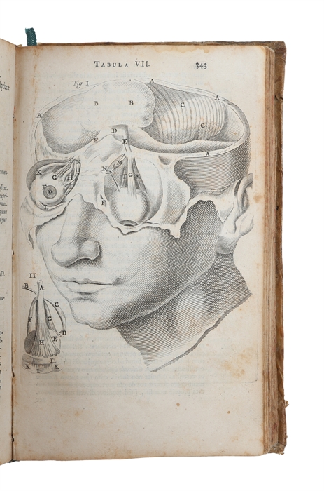 Anatomia, ex Casparl Bartholini parentis institutionibus, omniumque recentiorum & proprils observationibus tertium ad sanguinis circulationem reformata.
