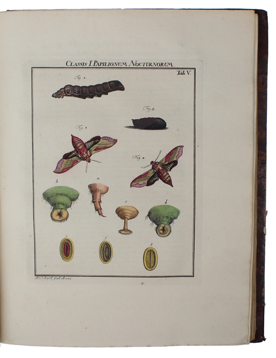 De Natuurlyke Historie der Insecten. 5 vols.
