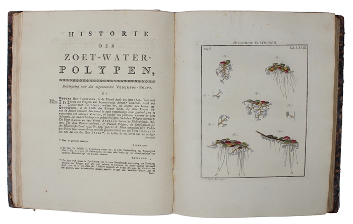 De Natuurlyke Historie der Insecten. 5 vols.