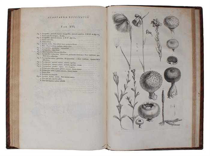 Botanicon parisiense ou denombrement par ordre alphabetique des plantes, qui se trouvent aux environs de Paris.