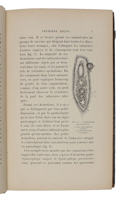 Leçons sur la pathologie comparée de l'inflammation faites à l'Institut Pasteur en Avril et Mai 1891-