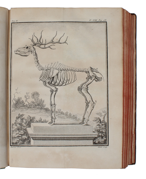 Histoire Naturelle, Générale et Particulière, avec la description du Cabinet du Roy (15 vols.) (+) Supplément à l'Histoire naturelle (6 vols) (+) Histoire naturelle des Oiseaux (9 vols) (+) Quadrupedes Ovipares et des Serpens (2 vols). 32 vols.