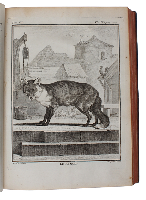 Histoire Naturelle, Générale et Particulière, avec la description du Cabinet du Roy (15 vols.) (+) Supplément à l'Histoire naturelle (6 vols) (+) Histoire naturelle des Oiseaux (9 vols) (+) Quadrupedes Ovipares et des Serpens (2 vols). 32 vols.