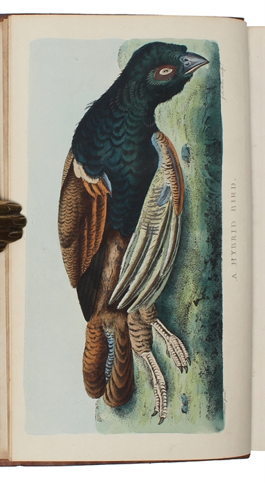 The Natural History of Selborne, new edition, with engravings. 2 vols.