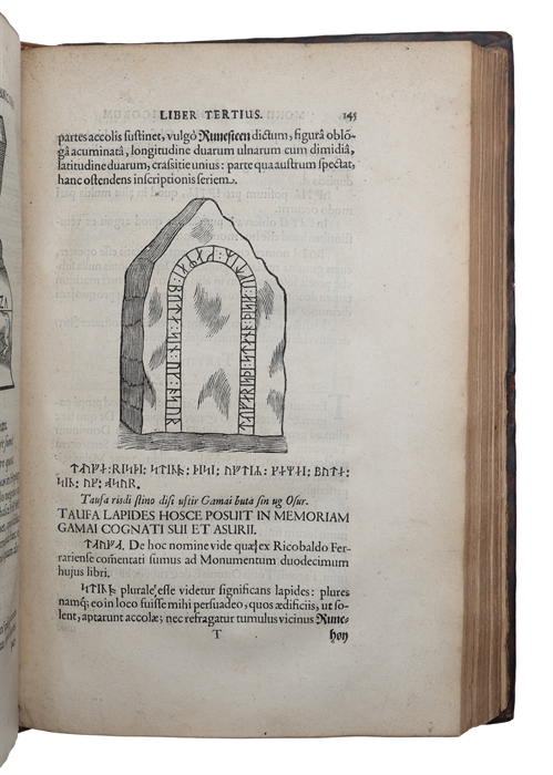 Danicorum Monumentorum Libri Sex: E spissis antiquitatum tenebris et in Dania ac Norvegia extantibus ruderibus eruti + Regum Daniae Series duplex et Limitum inter Daniam & Sveciam Descriptio. Ex vetustissimo Legum Scanicarum Literis Runicis in membran...