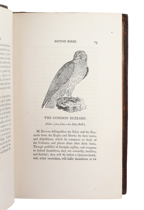 History of British Birds. The Figures engraven on Wood by T. Bewick. 2 vols. (1: History and Description of Land Birds. 2: Containing the History and Description of Water Birds).