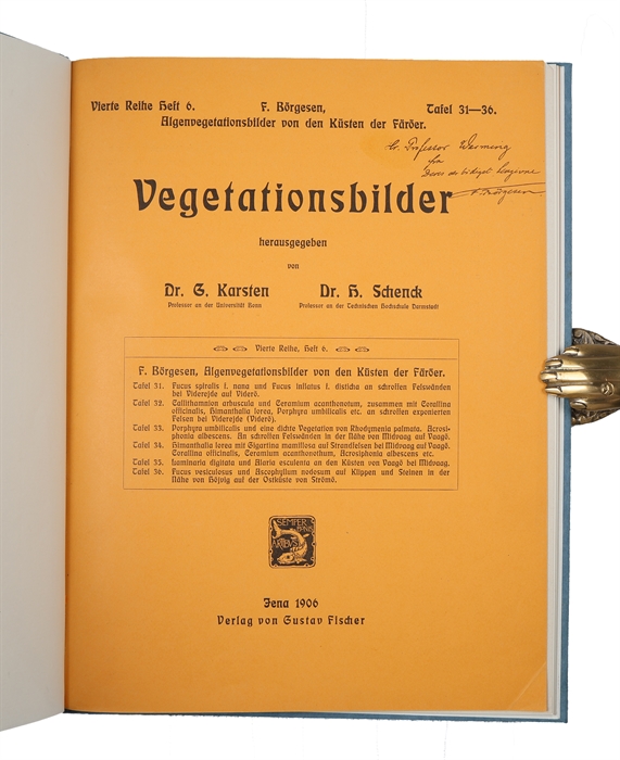 Algenvegetationsbilder von den Küsten der Färöer (In "Vegetationsbilder. Vierte Reihe, Heft 6.").