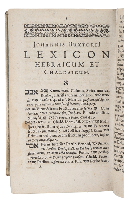 Lexicon Hebraicum Et Chaldaicum Complectens Omnes Voces, Tam Primas Quam Derivatas.