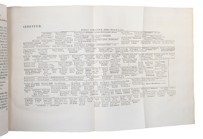 Samlinger af Publique og Private Stiftelser, Fundationer og Gavebreve, som forfindes udi Danmark og Norge. Tome III.