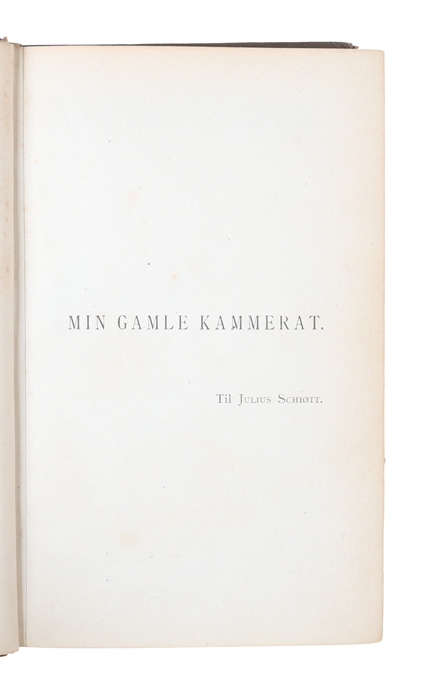 Stille Eksistenser. Fire Livsbilleder (Min Gamle Kammerat. Enkens Søn. Hendes Højhed. Ved Vejen.)