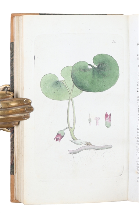 Svensk Botanik. Vol. 1-10.