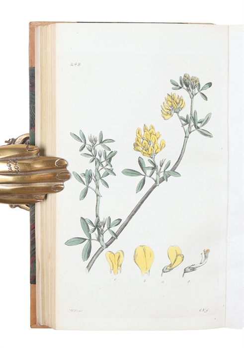 Svensk Botanik. Vol. 1-10.