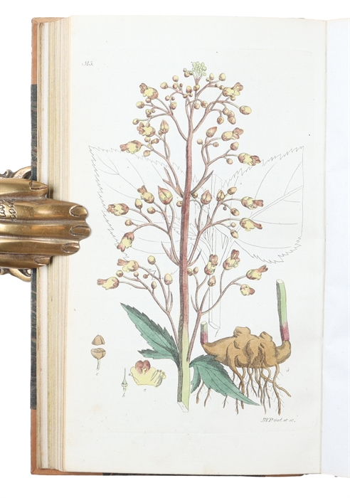 Svensk Botanik. Vol. 1-10.