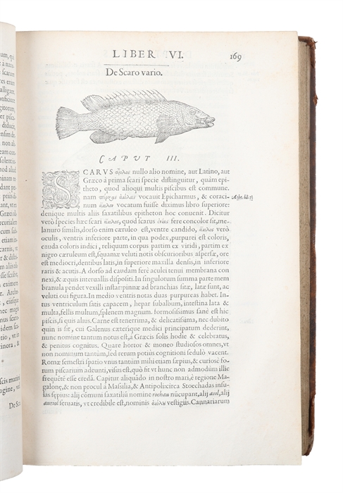 Libri de Piscibus Marinis, in quibus Piscium expressæ sunt. Quæ in tota Piscium historia contineantur, indicat Elenchus pagina nona et decima. Postremò accesserunt Indices necessarij. + Vniuersæ aquatilium Historiæ pars altera, cum veris ipsorum Imagi...