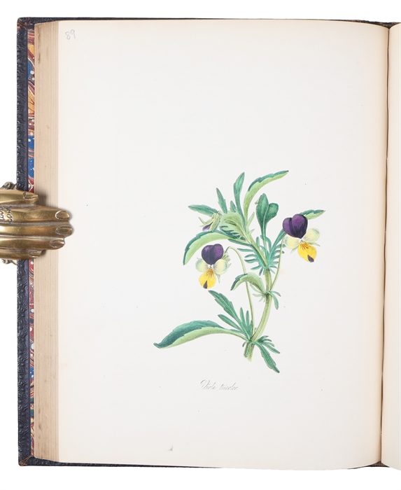Plantæ Utiliores; or Illustration of Useful Plants, Employed in the Arts and Medicine. 4 vols.