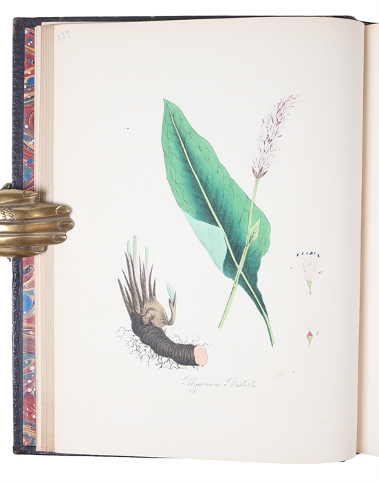 Plantæ Utiliores; or Illustration of Useful Plants, Employed in the Arts and Medicine. 4 vols.