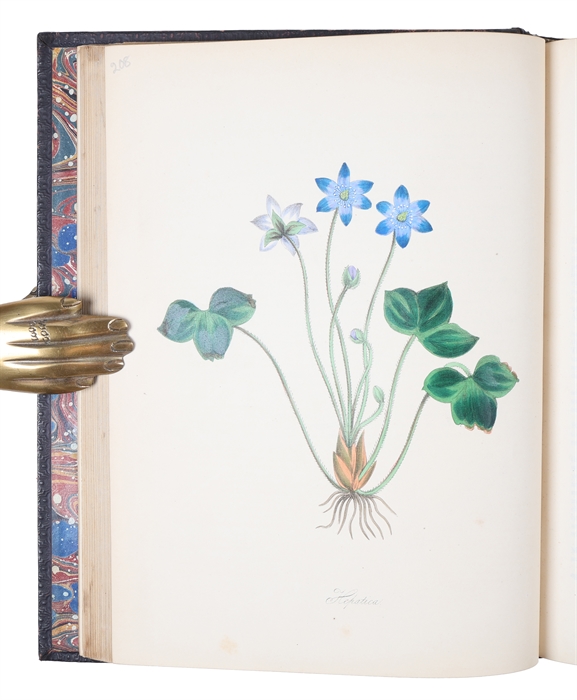 Plantæ Utiliores; or Illustration of Useful Plants, Employed in the Arts and Medicine. 4 vols.