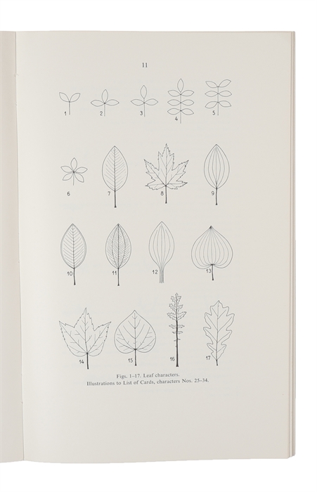 Determination of angiosperm families by means of a punched card system.