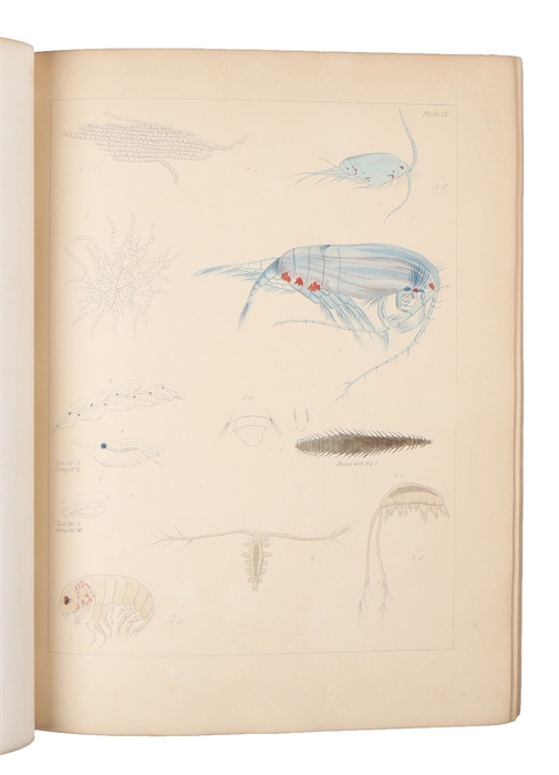 Explanations and sailing directions to accompany the Wind and current charts, approved by Captain D.N. Ingraham, chief of the Bureau of ordnance and hydrography, and pub. by authority of Hon. Isaac Toucey, secretary of the Navy.
